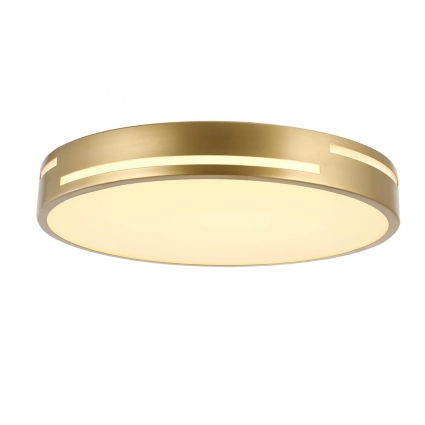 Потолочный светодиодный светильник F-Promo Pall 2745-2C
