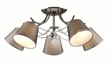 Потолочная люстра Lumion Porta 2974/5C