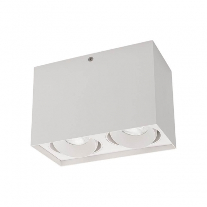 Потолочный светодиодный светильник Arlight SP-Cubus-S100x200WH-2x11W Day White 40deg 023083