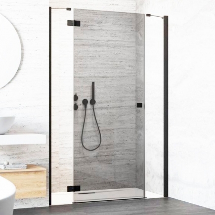 Душевая дверь в нишу Radaway Essenza New Black DWJS 120 L