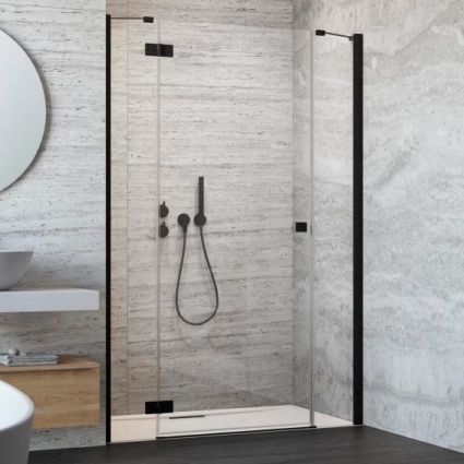 Душевая дверь в нишу Radaway Essenza New Black DWJS 110 L