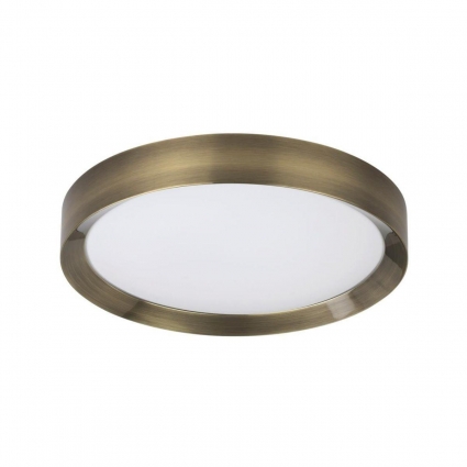 Потолочный светодиодный светильник Odeon Light Lunor 4948/45CL