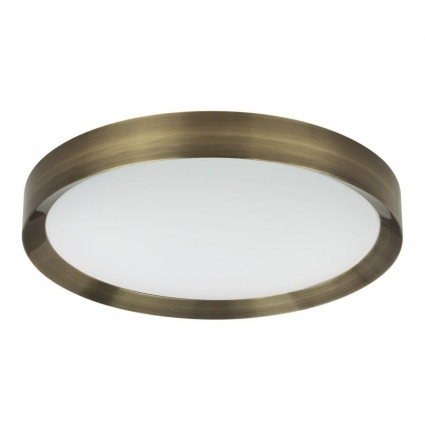 Потолочный светодиодный светильник Odeon Light Lunor 4948/60CL
