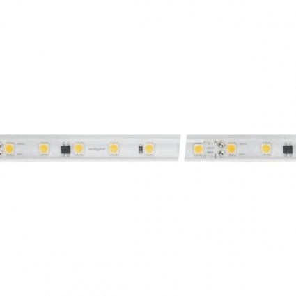 Светодиодная влагозащищенная лента Arlight 8W/m 54LED/m 5060SMD дневной белый 50M 027057(2)