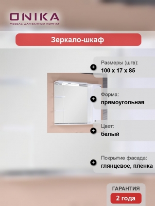 Зеркало-шкаф Onika Эльбрус 100.02 R