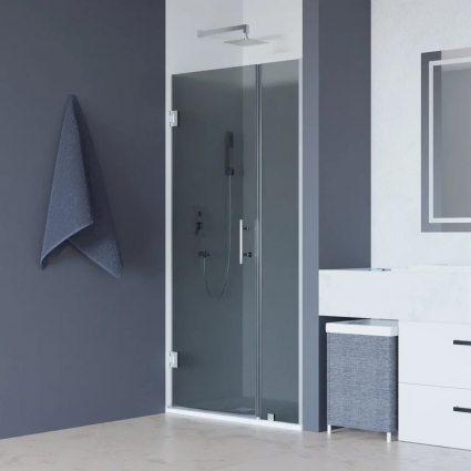 Душевая дверь в нишу RGW Hotel HO-012 1100х1950 профиль хром, стекло тонированное