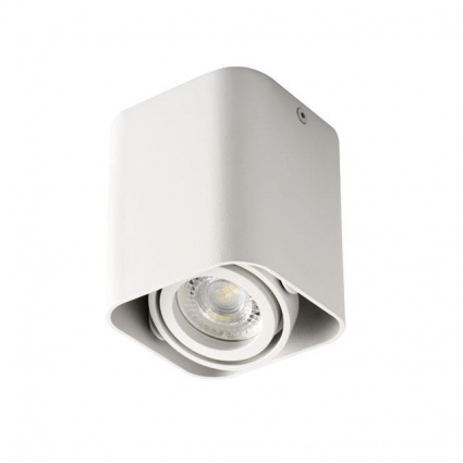 Накладной точечный светильник Kanlux TOLEO DTL50-W 26114