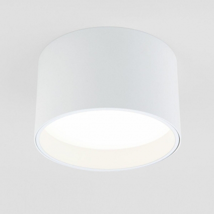 Потолочный светодиодный светильник Elektrostandard 25123/Led Banti 13Вт 4200K 4690389183980
