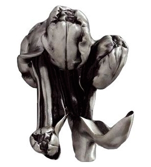 Крючок Art&Max Tulip AM-0822-T