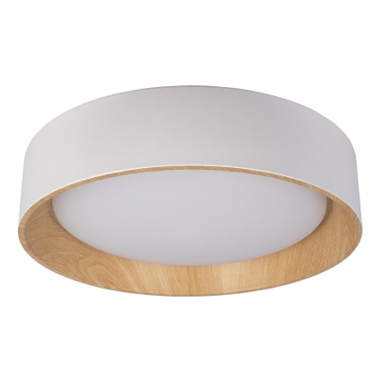 Потолочный светодиодный светильник Loft IT Coin 10202 White