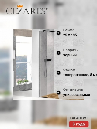 Душевая перегородка Cezares Liberta-L-1-25-GR-Nero профиль черный, стекло графит