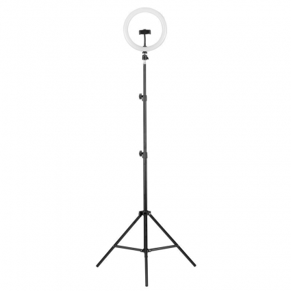 Торшер Camelion KD-810F C02 13010