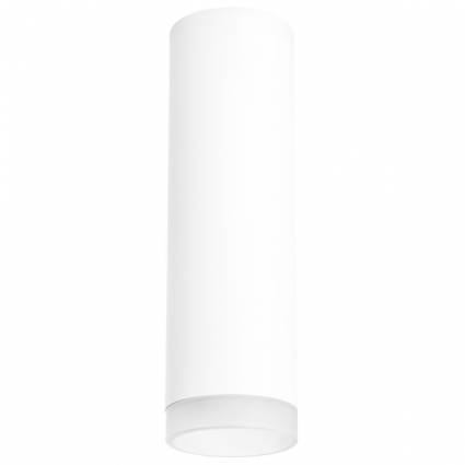 Потолочный светильник Lightstar Rullo (216496+202480) R649680