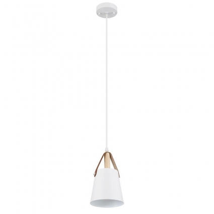 Подвесной светильник Arte Lamp THOMAS A7032SP-1WH