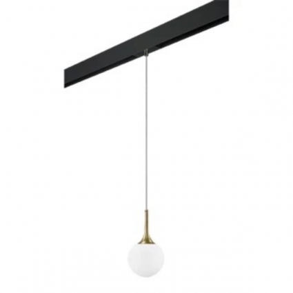 Трековый светильник Lightstar Globo (813012+595007) PRO813012