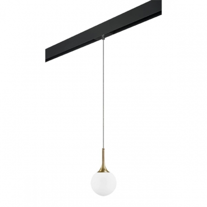 Трековый светильник Lightstar Globo (813013+595007) PRO813013
