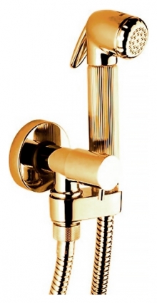 Гигиенический душ Bossini Nikita E57002 ORO
