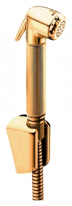Гигиенический душ Bossini Nikita C04045 ORO