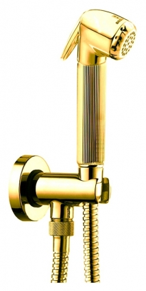 Гигиенический душ Bossini Nikita C69002 ORO