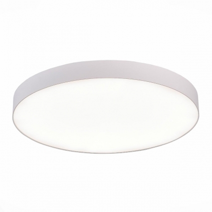 Потолочный светодиодный светильник ST Luce ST606.542.96
