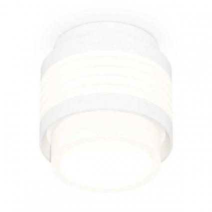Комплект накладного светильника Ambrella light Techno Spot XS (C8431, N8401) XS8431001