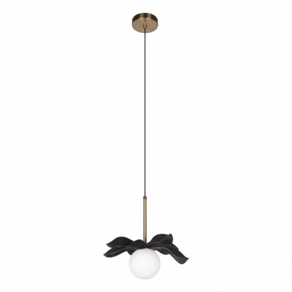 Подвесной светильник Loft IT Monro 10213/A Black