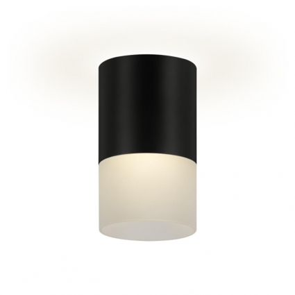 Накладной потолочный светильник Ritter Essen RCS-65MR16-BL 52060 3