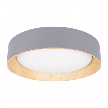 Потолочный светодиодный светильник Loft IT Coin 10202 Grey