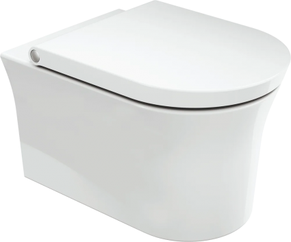 Унитаз подвесной Duravit White Tulip 2576092000 безободковый