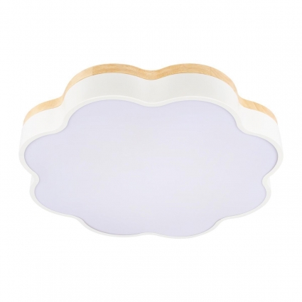 Потолочный светодиодный светильник Loft IT Axel 10225/36 White