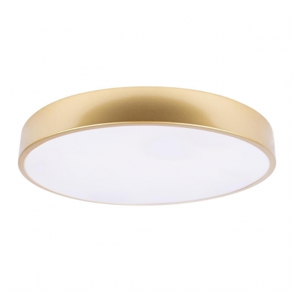 Потолочный светодиодный светильник Loft IT Flims 10228/A