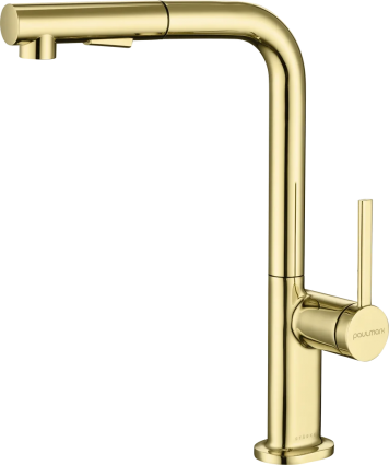 Смеситель для кухни Paulmark Neo Ne214419-G золото