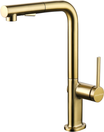 Смеситель для кухни Paulmark Neo Ne214419-BG брашированное золото
