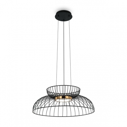 Подвесной светодиодный светильник Freya Citrus FR5398PL-L6B