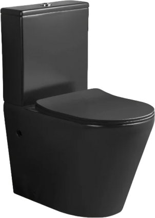 Унитаз-компакт Cerutti SPA Sella CT9865