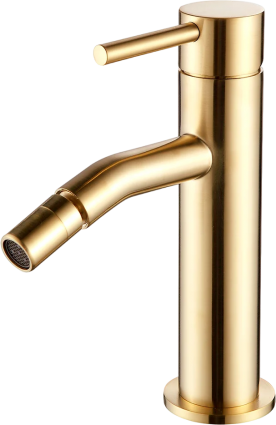 Смеситель для биде AQUAme Siena AQM6216GG глянцевое золото