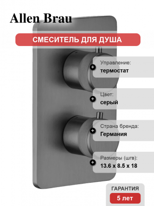 Термостатический смеситель Allen Brau Priority 5.31213-MG С ВНУТРЕННЕЙ ЧАСТЬЮ, брашированный графит