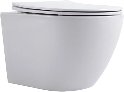 Унитаз подвесной Aquanet Cetus 249710 безободковый, с микролифтом