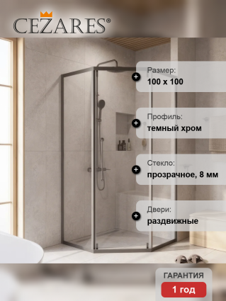 Душевой уголок Cezares Relax RELAX-304-P-1-100-C-GM 100x100, профиль оружейная сталь