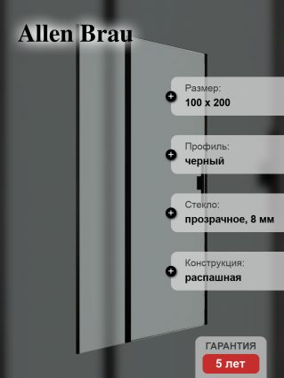 Душевая дверь в нишу Allen Brau Priority 3.31030.BBA 100 см, профиль черный браш, стекло прозрачное Optiwhite