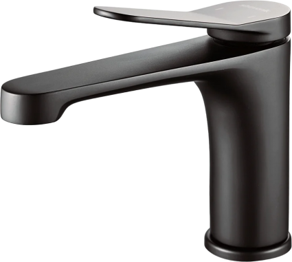 Смеситель для раковины Shevanik S6201H черный