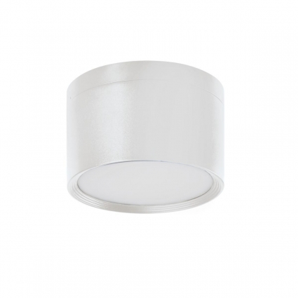 Накладной точечный светодиодный светильник Kanlux TIBERI PRO NT20W-940W 35676