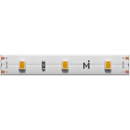Светодиодная лента Maytoni Led Strip 5м 201164
