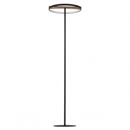 Торшеры Lightstar