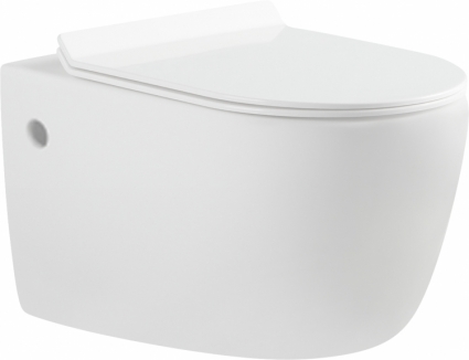 Унитаз подвесной Aquanet Cetus BL-102N-WHT