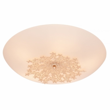 Потолочный светильник Silver Light Verbena 835.50.5