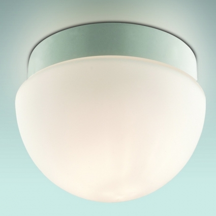 Потолочный светильник Odeon Light Minkar 2443/1B