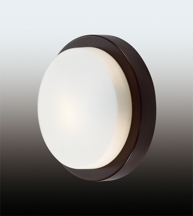 Потолочный светильник Odeon Light Holger 2744/1C