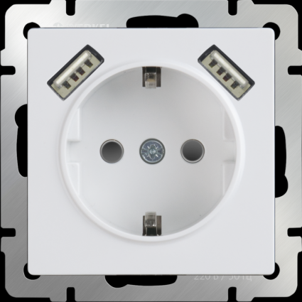 Розетка с заземлением, шторками и USBx2 белая WL01-SKGS-USBx2-IP20 4690389073199