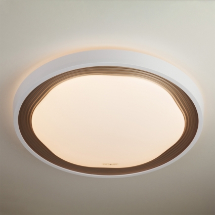 Потолочный светодиодный светильник с пультом ДУ Eurosvet Range 40006/1 LED кофе